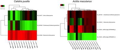 Genes, inflammatory response, tolerance, and resistance to virus infections in migratory birds, bats, and rodents